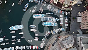 Tourist boat mooring in the harbor of Camogli