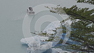 Tourist Boat Sailing by Iceberg with Wind-Swept Tree Branches