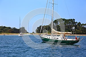 Tourist Boat, Whitianga Harbour, Whitianga, Coromandel Peninsula photo