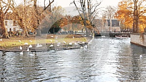 Tourist boats on Bruges canal in Belgium. Bruges is popular city with touristic attractions