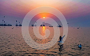 Tourist boats lined up in Triveni Sangam at dawn, Prayagraj, India