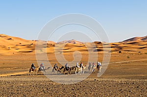 Tourist caravan, Sahara Desert