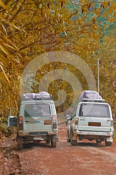 Tourist cars on a road in autumn forest background. Vertical Image. Holiday theme