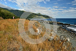 Tourist on coast of the Caribbean sea