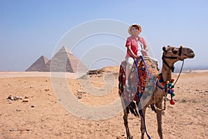 Tourist, Egypt Pyramid, Travel, Vacation