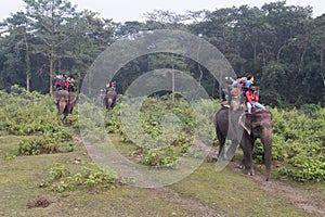 Tourist on an elephant safari in Chitwan National Park, Nepal