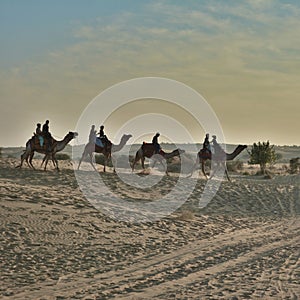 Tourist enjoying Camel ride in sand dunes of Jaisalmer, Rajasthan, India, Asia