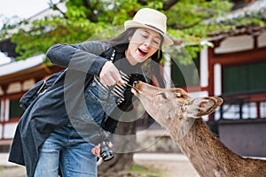 Tourist feeding deer with cheerful smile