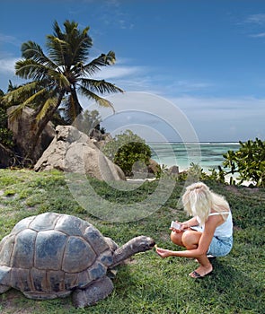 Tourist is feeding giant turtle.