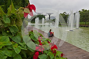 Tourist female sitting on the wooden walkway by the river in Gardens by the Bay with Supertrees in the background, Singapore