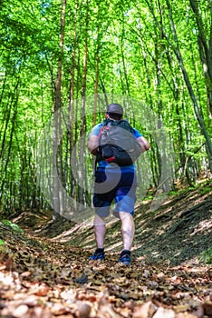 Tourist in forest walking on hikeng trail