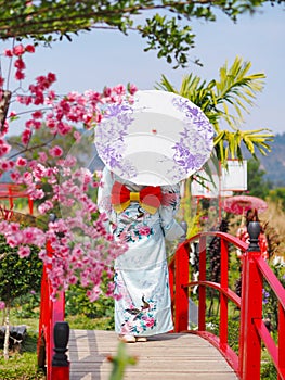 Tourist girl in kimono costume holding umbrella in Japanese garden style