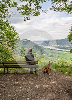 Tourist girl sitting on a bench with a puppy boxer dog looking at the rhine river valley near Andernach from viewpoint