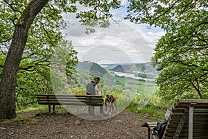 Tourist girl sitting on a bench with a puppy boxer dog looking at the rhine river valley near Andernach from viewpoint