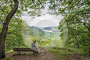 Tourist girl sitting on a bench with a puppy boxer dog looking at the rhine river valley near Andernach from viewpoint