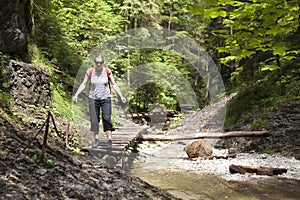 Turistické dievča prechádzky horským lesom