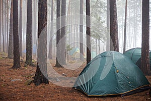 Tourist green tent in the fog in the forest
