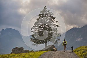 Tourist with her dogs around colorful summer on unique lake - Oeschinen (Oeschinensee), UNESCO World Heritage Site