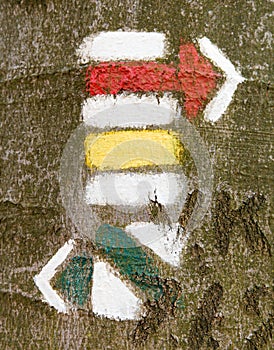 Tourist or hiking trail signs symbols on tree