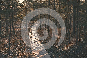 tourist hiking trail in woods in winter - vintage film effect