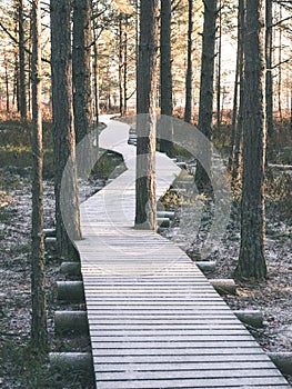 tourist hiking trail in woods in winter - vintage film effect