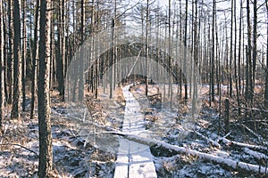 tourist hiking trail in woods in winter - vintage film effect