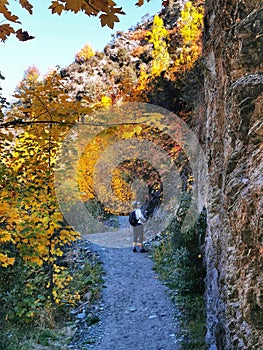 A tourist on a hiking treck with rock cliffs and yellow autumn trees photo