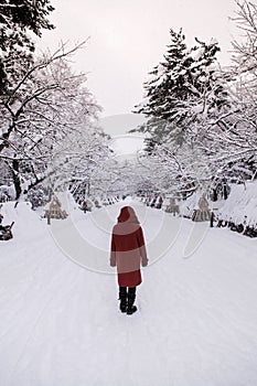 Tourist at Hirosaki Castle in winter season, Aomori, Tohoku,