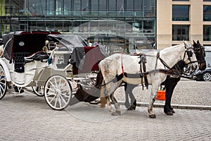 Tourist horse chariot on Pariser Platz in Berlin, Germany