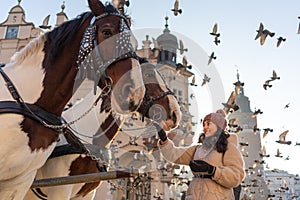 Tourist and horse on Main Market, Krakow