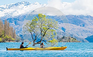 Tourist kayaking pass the iconic lone tree in lake Wanaka the fouth largest lake in New Zealand.