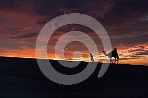 A tourist led by a local bedouin guide riding camel in the Sealine desert, Qatar. photo