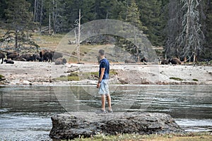 Tourist looking at bison while standing at lakeshore in famous Yellowstone park