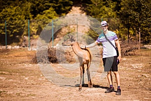 Tourist man touching young deer by hand in zoo