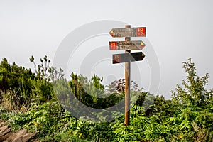 Tourist mountain path through green plants and cloudy fog with a wooden destination sign.