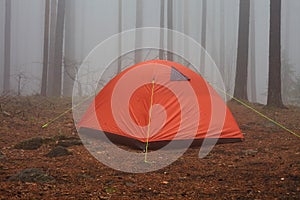 Tourist orange tent in the fog in the forest