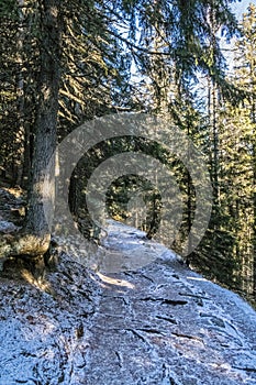 Tourist path in High Tatras, Slovakia, winter scene