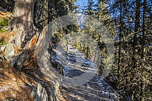 Tourist path in High Tatras, Slovakia, winter scene