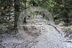 Tourist path in High Tatras, Slovakia, winter scene