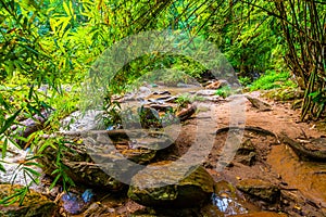 Tourist path in the jungle near Mae Sa river and waterfall, Thailand. Road in the tropical rainforest near the Chiang Mai city.