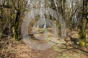 Tourist path in the Kovacovske hills, Slovakia