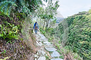 tourist on path on mountain slope in Dazhai