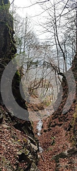 tourist path that runs through the gorge and mountain stream