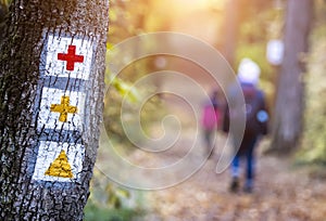 Tourist path signs on tree in forest