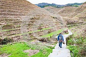 tourist on path between terraced fields in Dazhai