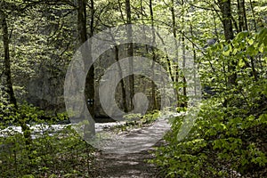 Tourist path through the Varghis gorges, Covasna