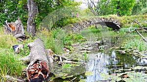 Tourist paves a walking route through the historic sites