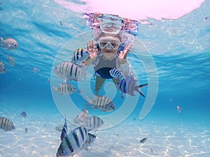 Tourist people diving with snorkel to see nemo fish , beautiful fish and coral at Samaesarn Island of Thailand