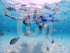 Tourist people diving with snorkel to see nemo fish , beautiful fish and coral at Samaesarn Island of Thailand