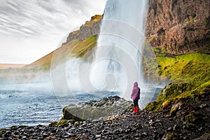 Tourist person in red raincoat watching Seljalandsfoss waterfall in Iceland